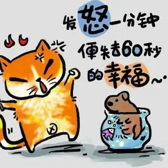 娱乐圈内幕